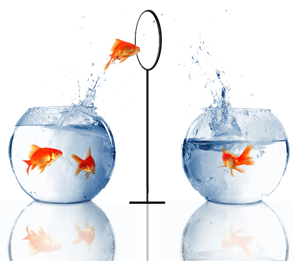 7 Elements Your Business Website Must Have